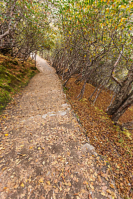 포토 JPG 해외이미지 스포츠 여행 불교 가이드 자연 하늘 휴가 산 국립공원 풍경 사람없음 야외 여행객 산책 등산 트래킹 하이킹 도전 기도 깃발 정상 네팔 방법 산악가 절정 하이커 히말라야 해외포토 직업 공원 아시아 종교 레저 휴식 사람 생태계 파일형식 산맥 이미지허브