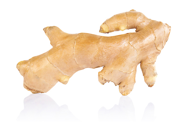 포토 JPG 해외이미지 문화 음식 백그라운드 다이어트 건조 건강 요리 동양인 사람없음 갈색 중국 신선 조미료 먹기 아로마 생강 흙더미 땅바닥 해외포토 아시아 컬러 채소 모션 바닥 인종 흙 향미료 파일형식 더미 이미지허브