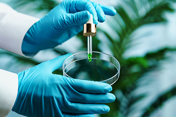 포토 JPG 해외이미지 식물 접시 교육 과학 백그라운드 잎 자연 유리 생물 세포 건강 실험 사람없음 초록색 파란색 약 건강관리 흰색 신선 액체 삼 실험실 떨어짐 생명공학 허브 분석 유기농 생물학 미생물 발견 추출 피펫 화학물질 해외포토 식기 웰빙 컬러 컨셉 채소 의학 재질 실험기구 관리 화학 생태계 파일형식 이미지허브