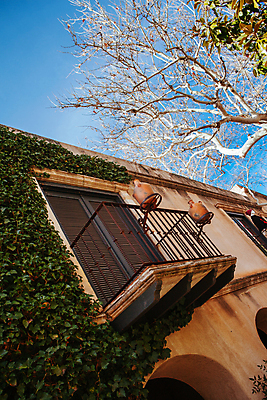 포토 JPG 해외이미지 나무 도로 건축양식 하늘 거리 미술 사람없음 건물 장식 쇼핑 마을 탑 상점 맑음 미국 미술관 사인 암초 애리조나 소매 안뜰 해외포토 식물 건축물 건축 길 북아메리카 교통시설 날씨 문화예술 파일형식 이미지허브