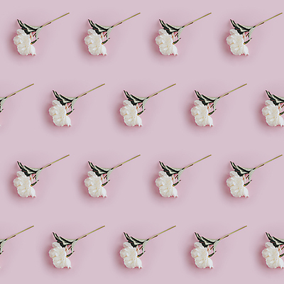 포토 JPG 해외이미지 꽃 분홍색 백그라운드 패턴 사람없음 패턴백그라운드 흰색 해외포토 식물 컬러 무늬 파일형식 이미지허브