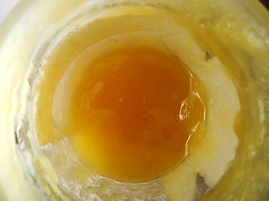 포토 JPG 해외이미지 음식 곤충 백그라운드 오렌지 건강 사람없음 야외 약 노란색 흐름 물방울 시골 신선 머리빗 액체 황금 달콤 맛 떨어짐 꿀벌 질감 날것 꽃가루 시럽 꿀 벌집 내추럴 밀랍 양봉 양봉장 어려움 왁스 해외포토 동물 컬러 컨셉 과일 의학 미용용품 벌_곤충 가루 파일형식 이미지허브