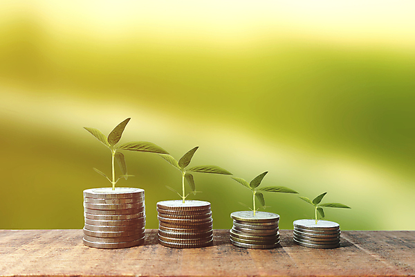 포토 JPG 해외이미지 나무 식물 백그라운드 컨셉 잎 돈 비즈니스 태국 자연 탁자 성공 아이디어 사람없음 목재 초록색 금융 경제 쌓기 환경 동전 성장 황금 주식 투자 이익 회계 월급 대출 관심 돌봄 마케팅 블러 수입 예산 자금 해외포토 아시아 컬러 가구 재료 모션 재산 생태계 파일형식 이미지허브