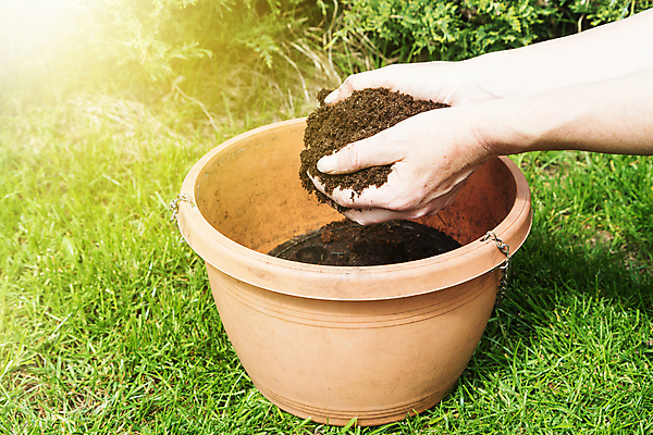 포토 JPG 해외이미지 식물 손 화분 백그라운드 잎 농업 자연 취미 사람없음 야외 초록색 빛 태양 정원 흙 봄 장비 성장 업무 냄비 원예 먼지 점토 돌봄 땅바닥 모종 원예사 해외포토 자연요소 직업 계절 산업 컬러 모션 바닥 신체부위 작업 솥 생태계 파일형식 이미지허브
