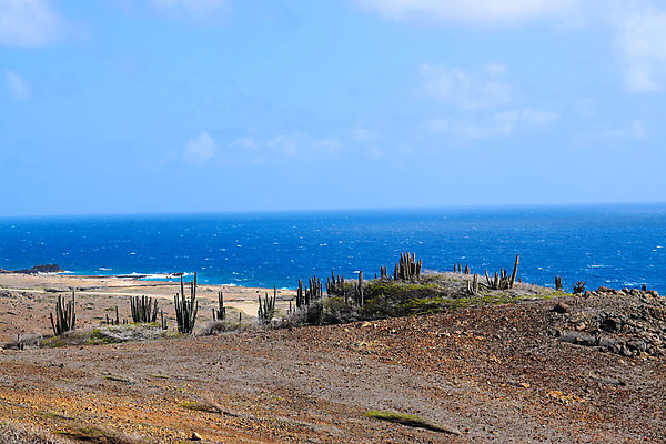 포토 JPG 해외이미지 공원 모래 파도 바다 섬 여행 백그라운드 자연 하늘 날씨 휴가 국립공원 풍경 사람없음 야외 물 여름 파란색 여행객 맑음 바위 동굴 내추럴 전국 해외포토 자연요소 계절 공공시설 컬러 사람 돌_바위 생태계 파일형식 이미지허브