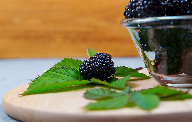 포토 JPG 해외이미지 배너 열매 음식 백그라운드 잎 다이어트 과일 재료 자연 탁자 디저트 건강 사람없음 여름 빛 검은색 식사 사막 시골 신선 그룹 사발 달콤 맛 유기농 산딸기 블랙베리 숙성 카피스페이스 해외포토 식물 웰빙 계절 컬러 가구 컨셉 공백 사기그릇 생태계 파일형식 이미지허브