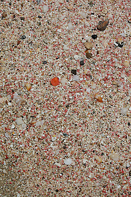 포토 JPG 해외이미지 모래 파도 바다 섬 여행 우산 자연 하늘 휴가 풍경 사람없음 야외 빨간색 물 여름 파란색 태양 맑음 침묵 자유 만 휴양지 세이셸 석호 완벽 이국적 터키석 파라다이스 수평선 해외포토 자연요소 계절 컬러 컨셉 아프리카 날씨 소리 장소 보석 생태계 파일형식 이미지허브