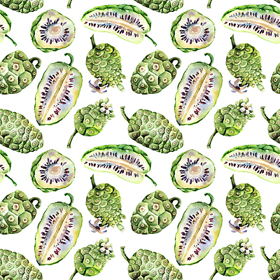 JPG 해외이미지 디자인 꽃 백그라운드 꽃무늬 패턴 일러스트 단면 사람없음 패턴백그라운드 노니 해외일러스트 식물 열매 무늬 파일형식 이미지허브