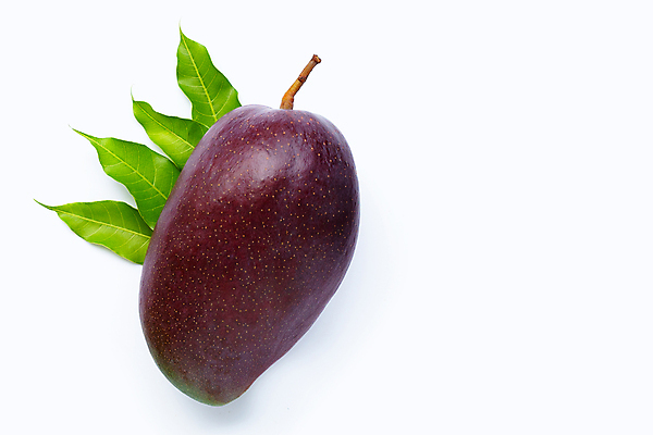 포토 JPG 해외이미지 잎 실내 사람없음 한개 열대과일 흰배경 망고 애플망고 해외포토 식물 1 백그라운드 과일 내부 흰색 파일형식 이미지허브