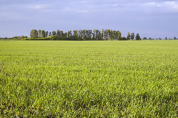 포토 JPG 해외이미지 나무 식물 구름 계절 여행 밭 농업 자연 벽지 하늘 아침 파노라마 풍경 사람없음 야외 초록색 여름 파란색 빛 햇빛 태양 농장 농경지 노란색 일출 환경 맑음 일몰 봄 새벽 시골 황금 저녁 땅 장면 내추럴 밭일 생태학 수평선 해외포토 주간 자연요소 교육 산업 컬러 날씨 촬영기법 노을 야간 생태계 파일형식 이미지허브