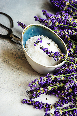 포토 JPG 해외이미지 꽃 실내 사람없음 라벤더 입욕소금 해외포토 식물 내부 미용용품 허브 소금 파일형식 이미지허브