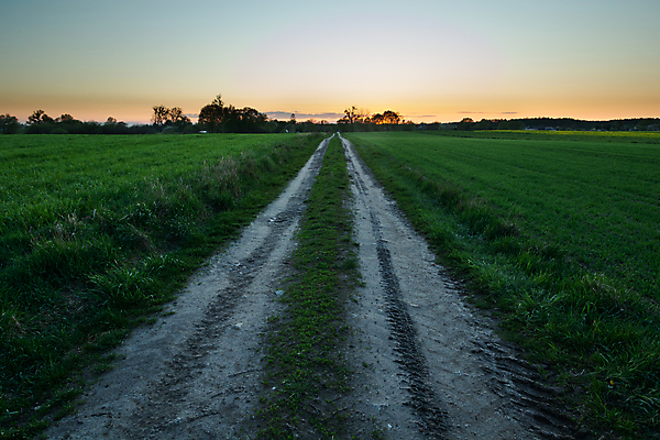 포토 JPG 해외이미지 도로 길 여행 백그라운드 밭 농업 자연 하늘 풍경 사람없음 야외 초록색 모래사장 농장 농경지 일출 황혼 일몰 새벽 시골 저녁 땅 먼지 장면 광택 내추럴 땅바닥 방법 밭일 수평선 세련 해외포토 자연요소 산업 바다 컬러 교통시설 바닥 노을 야간 생태계 파일형식 이미지허브
