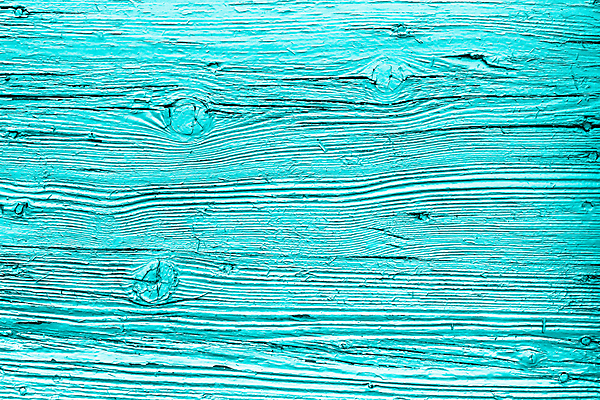 포토 JPG 해외이미지 디자인 벽 백그라운드 패턴 탁자 표면 날씨 추상 바닥 사람없음 목재 페인트 수확 시골 거친 그리기 널 질감 복고 청록색 잡동사니 내추럴 그런지 수목 옛날 합판 해외포토 나무 컬러 가구 무늬 농업 재료 모션 파일형식 이미지허브