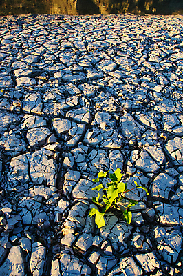 포토 JPG 해외이미지 공원 지구 여행 백그라운드 자연 하늘 표면 산 멕시코 건조 숙이기 풍경 사람없음 물 강 산타클로스 갈색 환경 골짜기 미국 흙 사막 뜨거움 균열 큼 땅 질감 먼지 점토 지역 진흙 가뭄 층 내추럴 땅바닥 전국 텍사스 해외포토 자연요소 공공시설 컬러 포즈 크리스마스 북아메리카 모션 날씨 바닥 크기 생태계 파일형식 이미지허브