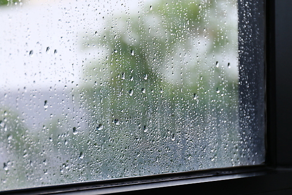 포토 JPG 해외이미지 백그라운드 패턴 창문 자연 유리 벽지 표면 날씨 추상 경사 사람없음 물 파란색 빛 컬러풀 반사 환경 검은색 어둠 거품 젖음 추위 흰색 물방울 신선 투명 액체 떨어짐 수증기 수분 시원함 빗방울 심볼 질감 내추럴 해외포토 자연요소 컬러 컨셉 무늬 재질 비_날씨 생태계 파일형식 이미지허브