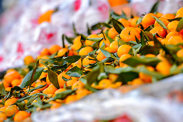 포토 JPG 해외이미지 식물 잡화 음식 백그라운드 농업 다이어트 채소 오렌지 과일 재료 자연 탁자 귤 건강 감 사람없음 목재 빨간색 초록색 농장 노란색 쌓기 주스 수확 흰색 신선 그룹 시장 달콤 맛 유기농 날것 내추럴 숙성 채식주의자 많음 해외포토 나무 웰빙 산업 음료 컬러 가구 컨셉 모션 생태계 채식 파일형식 이미지허브