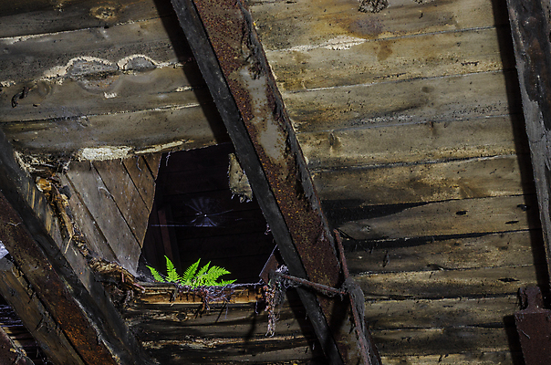 포토 JPG 해외이미지 산업 공장 이야기 굴뚝 사람없음 건물 기계 방 장비 탐험 직물 수술 역사 제조 상품 시설 천연기념물 발견 떠남 무인 옛날 파멸 해외포토 건축물 컨셉 공업 의학 모션 치료 파일형식 소멸 이미지허브