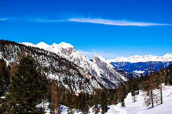 포토 JPG 해외이미지 나무 계절 유럽 여행 크리스마스 겨울 자연 하늘 날씨 휴가 스키 산 파노라마 풍경 사람없음 야외 파란색 환경 얼음 이탈리아 트래킹 하이킹 추위 흰색 소나무 정상 알프스 북쪽 산봉우리 절정 프리스타일 해외포토 자연요소 식물 기념일 나라 컬러 레저 겨울스포츠 촬영기법 방향 생태계 봉우리 파일형식 이미지허브