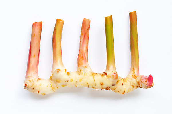 포토 JPG 해외이미지 줄기 실내 사람없음 한개 흰배경 생강 해외포토 식물 1 백그라운드 채소 내부 흰색 파일형식 이미지허브