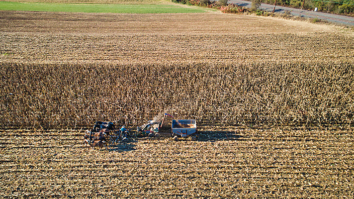 포토 JPG 해외이미지 동물 종교 밭 농업 가족 자연 안테나 옥수수 풍경 소년 사람없음 빨간색 초록색 파란색 농작물 농장 농경지 맑음 장비 수확 가을 시골 업무 작업 당기기 농부 땅 복고 먼지 구식 드론 로딩 밭일 옛날 해외포토 직업 계절 남자 산업 어린이 컬러 통신 관계 모션 날씨 곡류 생태계 파일형식 이미지허브