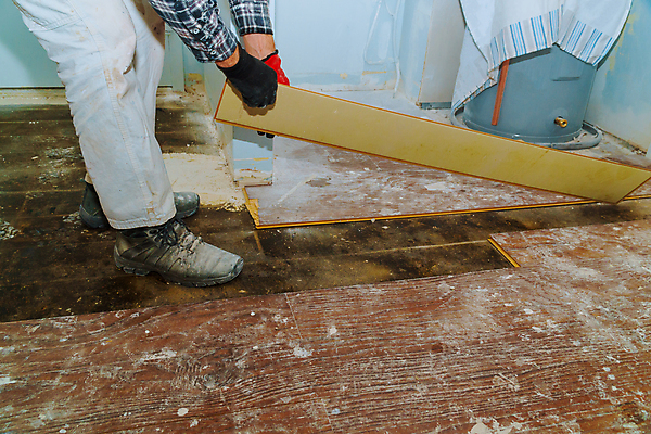 포토 JPG 해외이미지 직업 산업 장갑 컨셉 노동자 바닥 아파트 주택 실내 사람없음 내부 건물 목재 방 장비 공구 잡기 업무 판넬 변화 수리 널 청소 목수 목공예 DIY 삭제 건축업자 계약자 교체 설치 수목 업그레이드 옛날 재주꾼 파케트 해외포토 나무 건축물 잡화 건축 재료 모션 취미 도구 작업 공예 계약 파일형식 이미지허브