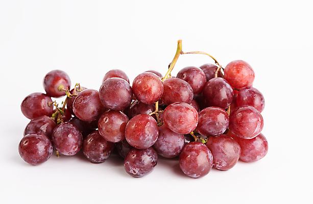 포토 JPG 해외이미지 열매 음식 백그라운드 농업 과일 재료 자연 포도 디저트 건강 사람없음 빨간색 물 와인 보라색 주스 젖음 수확 흰색 나뭇가지 신선 그룹 달콤 맛 떨어짐 다발 제비꽃 오브젝트 상쾌 유기농 날것 고립 숙성 양조장 채식주의자 비건 해외포토 자연요소 나무 식물 웰빙 꽃 감정 산업 음료 컬러 컨셉 주류 생태계 채식 파일형식 이미지허브