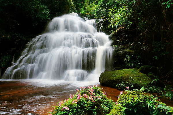 포토 JPG 해외이미지 나무 식물 공원 여행 백그라운드 잎 태국 자연 휴식 이끼 풍경 사람없음 야외 목재 초록색 물 여름 강 놀람 봄 폭포 젖음 흐름 성장 가을 신선 개울 숲 순수 즐거움 천국 파라다이스 해외포토 자연요소 계절 공공시설 감정 아시아 컬러 컨셉 재료 표정 생태계 파일형식 이미지허브
