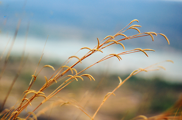 포토 JPG 해외이미지 나무 구름 손 공원 아시아 여행 백그라운드 오렌지 태국 자연 하늘 아침 산 국립공원 미술 풍경 사람없음 야외 초록색 파란색 햇빛 태양 일출 일몰 사막 달 가을 바위 역사 동굴 저녁 그림 원시시대 내추럴 고고학 옛날 전국 해외포토 주간 자연요소 식물 계절 공공시설 교육 나라 컬러 과일 문화예술 신체부위 노을 돌_바위 야간 생태계 파일형식 이미지허브