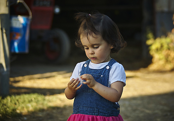 포토 JPG 해외이미지 나무 백인 라이프스타일 공원 여자 남자 행복 어린이 스포츠 가족 자연 놀이 함께함 건강 사람 소년 잔디 사람없음 야외 가로 초록색 친구 정원 봄 우정 시골 즐거움 형제 언니 남동생 해외포토 서양인 식물 계절 공공시설 감정 컬러 컨셉 관계 생활 생태계 자매 동생 파일형식 이미지허브