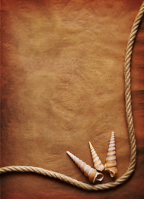 포토 JPG 해외이미지 종이 밧줄 백그라운드 사람없음 갈색 조개껍데기 질감 카피스페이스 해외포토 줄 컬러 조개 공백 파일형식 이미지허브