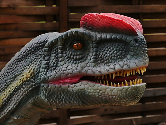 포토 JPG 해외이미지 모델 사람없음 숫자 머리 피규어 입 치아 공룡 흰배경 눈금 육식동물 선사시대 턱 몬스터 정물화 쥬라기 해외포토 동물 문자 백그라운드 파충류 신체부위 미니어처 흰색 소화기관 역사 그림 파일형식 이미지허브