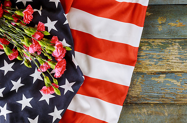 포토 JPG 해외이미지 꽃 별 꽃무늬 휴가 군대 기념 발렌타인데이 사람없음 미국 줄무늬 자유 축하 깃발 성조기 국기 민주주의 심볼 카네이션 군용 육군 기념물 애국심 명예 독립 독립기념일 옛날 전국 정부 추모 해외포토 자연요소 식물 기념일 컨셉 북아메리카 무늬 데이이벤트 파일형식 이미지허브