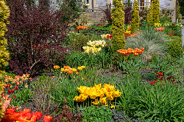 포토 JPG 해외이미지 식물 꽃잎 꽃 백그라운드 컨셉 꽃무늬 밭 오렌지 침구 자연 사람없음 초록색 노란색 정원 봄 튤립 벚꽃 개화 오브젝트 해외포토 계절 컬러 무늬 농업 과일 생태계 파일형식 이미지허브