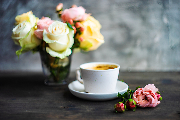 포토 JPG 해외이미지 커피 회색배경 사람없음 아웃포커스 장미 꽃병 커피잔 컵받침 나무탁자 해외포토 꽃 음료 백그라운드 탁자 잔 촬영기법 회색 받침대 파일형식 이미지허브