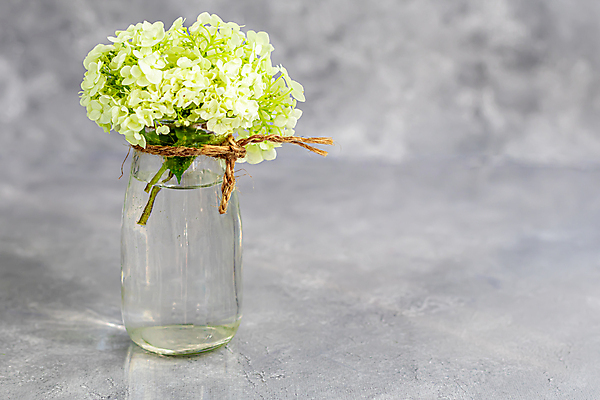 포토 JPG 해외이미지 식물 계절 공원 꽃잎 꽃 꽃다발 곤충 백그라운드 잎 밭 공 자연 벽지 따뜻함 선물 사람없음 장식 물 빛 정원 꽃병 봄 회색 벚꽃 흰색 신선 뜨거움 투명 맛 수집 질감 향기 냄새 엽서 꽃가루 수국 꿀 흙더미 비네팅 용량 정물화 해외포토 자연요소 동물 공공시설 컬러 컨셉 농업 촬영기법 흙 가루 편지 그림 생태계 파일형식 더미 이미지허브