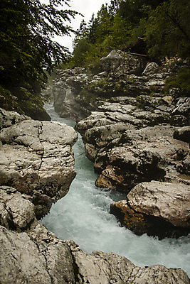 포토 JPG 해외이미지 계절 공원 유럽 여행 잎 자연 산 풍경 사람없음 야외 초록색 물 여름 파란색 강 골짜기 계곡 흐름 바위 개울 황무지 숲 속도 그림 알프스 에메랄드 카약 슬로베니아 터키석 해외포토 자연요소 식물 공공시설 나라 컬러 컨셉 돌_바위 수상스포츠 보석 생태계 파일형식 이미지허브