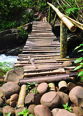 포토 JPG 해외이미지 나무 공원 길 여행 백그라운드 태국 자연 동양인 풍경 사람없음 야외 목재 초록색 물 여름 강 평화 환경 침묵 산책 흐름 바위 시골 개울 보행자 숲 대나무 장면 정리 방법 옛날 핸드메이드 해외포토 자연요소 식물 계절 공공시설 아시아 컬러 컨셉 재료 휴식 인종 소리 돌_바위 생태계 파일형식 이미지허브