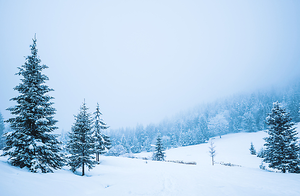 포토 JPG 해외이미지 나무 계절 유럽 여행 겨울 자연 날씨 휴가 산 파노라마 풍경 사람없음 환경 계곡 냉동 얼음 하이킹 추위 안개 흰색 시골 숲 큼 서리 북쪽 전나무 산악지대 교외 제설기 폭설 눈내림 해외포토 자연요소 식물 나라 컬러 레저 눈_날씨 촬영기법 크기 자연재해 방향 생태계 제설 파일형식 이미지허브