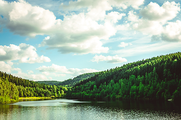 포토 JPG 해외이미지 나무 구름 호수 여행 백그라운드 자연 하늘 날씨 산 건조 풍경 사람없음 초록색 물 파란색 강 햇빛 농장 환경 침묵 거울 하이킹 시골 황무지 숲 언덕 진흙 서식지 삼림지대 전경 해외포토 자연요소 식물 컬러 농업 레저 태양 소리 생태계 파일형식 탑뷰 이미지허브