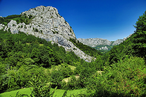 포토 JPG 해외이미지 공원 유럽 야생동물 자연 산 국립공원 풍경 사람없음 초록색 환경 계곡 다양 바위 스페인 언덕 생태계 서식지 무료 생태학 해외포토 동물 공공시설 교육 나라 컬러 다수 돌_바위 파일형식 이미지허브