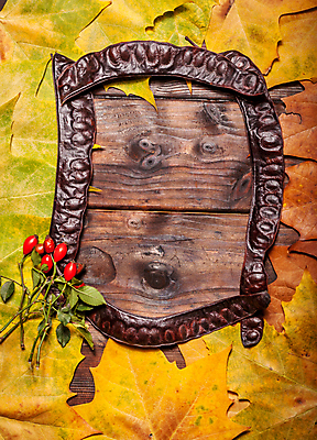 포토 JPG 해외이미지 나무 식물 계절 공원 백그라운드 단풍 잎 패턴 오렌지 자연 추상 사람없음 빨간색 컬러풀 갈색 노란색 활발 수확 가을 황금 떨어짐 숲 질감 10월 내추럴 해외포토 공공시설 컬러 컨셉 무늬 농업 과일 날짜 생태계 파일형식 이미지허브