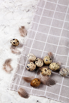 포토 JPG 해외이미지 전통 디자인 계절 행복 음식 백그라운드 컨셉 패턴 재료 자연 조류 휴가 건강 사람없음 장식 농장 갈색 우주 축제 치킨 봄 회색 수확 흰색 시골 축하 그룹 플랫 둥지 작음 먹기 심볼 깃털 유기농 질감 부활절계란 내추럴 메추리 콘크리트 해외포토 동물 웰빙 감정 컬러 무늬 농업 모션 부활절 계란 크기 생태계 닭고기요리 파일형식 이미지허브