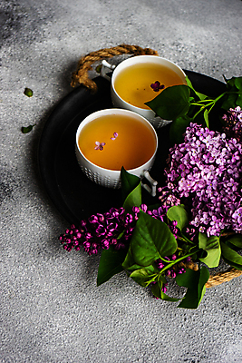 포토 JPG 해외이미지 잎 회색배경 쟁반 사람없음 찻잔 라일락 해외포토 식물 꽃 백그라운드 잔 회색 파일형식 이미지허브