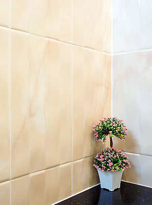 포토 JPG 해외이미지 디자인 꽃 벽 꽃다발 백그라운드 건축양식 주택 사람없음 내부 건물 장식 빛 우주 꽃병 검은색 방 욕실 냄비 플라스틱 타일 오브젝트 내추럴 변기통 스타일 해외포토 식물 건축물 건축 컬러 재질 솥 파일형식 이미지허브