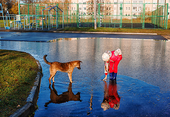 포토 JPG 해외이미지 계절 공원 여자 행복 물결 어린이 분홍색 신발 잎 놀이 날씨 거리 부츠 한명 서기 야외 물 파란색 컬러풀 반사 갈색 노란색 얼음 산책 기쁨 젖음 가을 개 떨어짐 웅덩이 고무 방수 해외포토 자연요소 식물 1 공공시설 감정 컬러 컨셉 포유류 모션 휴식 사람 파일형식 이미지허브