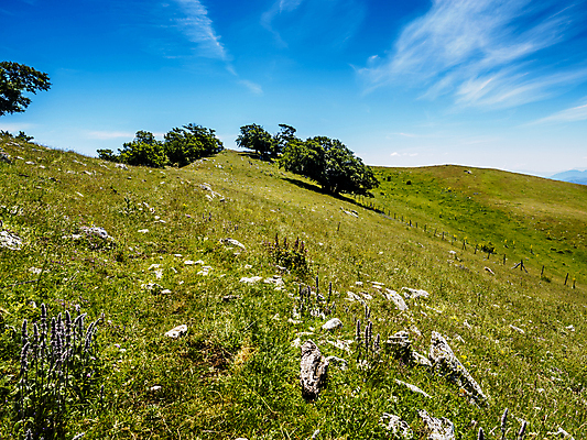 포토 JPG 해외이미지 나무 구름 공원 호수 스포츠 캐나다 의자 자연 조류 아침 낚시 휴식 산 파노라마 풍경 사람없음 야외 목재 초록색 물 여름 파란색 강 상자 태양 반사 일출 일몰 이탈리아 거울 보트 저녁 숲 언덕 암초 내추럴 전국 해외포토 주간 자연요소 식물 동물 계절 공공시설 유럽 컬러 가구 컨셉 북아메리카 배_교통 재료 레저 촬영기법 노을 야간 생태계 파일형식 이미지허브