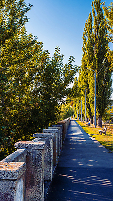 포토 JPG 해외이미지 백인 모델 1 라이프스타일 긴머리 응시 공원 여자 행복 유럽 얼굴 포즈 오렌지 자연 거리 사람 성인 사람없음 야외 초록색 노란색 유행 산책 재킷 흰색 도시 황금 고급 우아함 피부 빨간머리 내추럴 스타일 해외포토 서양인 헤어스타일 시선 공공시설 감정 나라 컬러 컨셉 과일 휴식 생활 신체부위 외투 생태계 파일형식 이미지허브