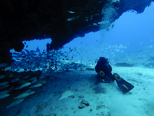 포토 JPG 해외이미지 바다 어류 한명 풍경 성인 바닷속 수중 수영 동굴 잠수부 암초 성인한명만 해외포토 1 사람 수중동물 수상스포츠 전문직 성인만 파일형식 이미지허브
