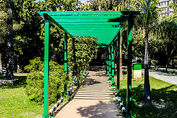 포토 JPG 해외이미지 나무 식물 디자인 계절 공원 꽃 도로 길 백그라운드 꽃무늬 곡선 자연 풍경 잔디 사람없음 야외 초록색 여름 평화 환경 정원 화목 침묵 봄 산책 벚꽃 바위 흰색 개화 보행로 오솔길 원예 조경 장면 내추럴 뒤뜰 방법 영원 해외포토 공공시설 선 컬러 컨셉 무늬 교통시설 휴식 취미 소리 돌_바위 생태계 파일형식 이미지허브