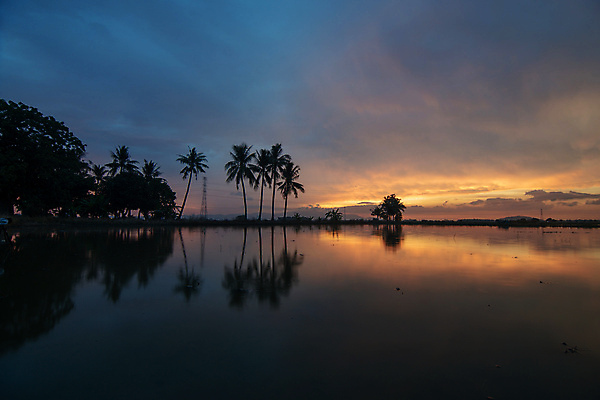 포토 JPG 해외이미지 나무 구름 여행 자연 하늘 휴가 열대 손바닥 풍경 사람없음 물 컬러풀 반사 장면 코코넛 말레이시아 파라다이스 수평선 해외포토 자연요소 식물 손 아시아 컬러 과일 생태계 파일형식 이미지허브